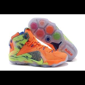 Nike Lebron 12 Six Meridian. SZ 10